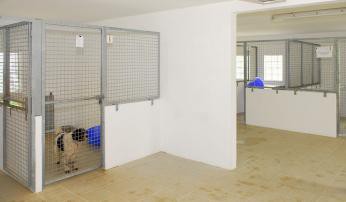 Quelles sont les modalités de garde à la fourrière ?